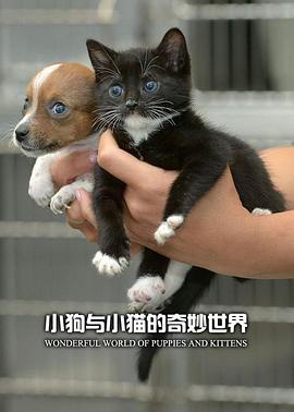 小狗与小猫的奇妙世界